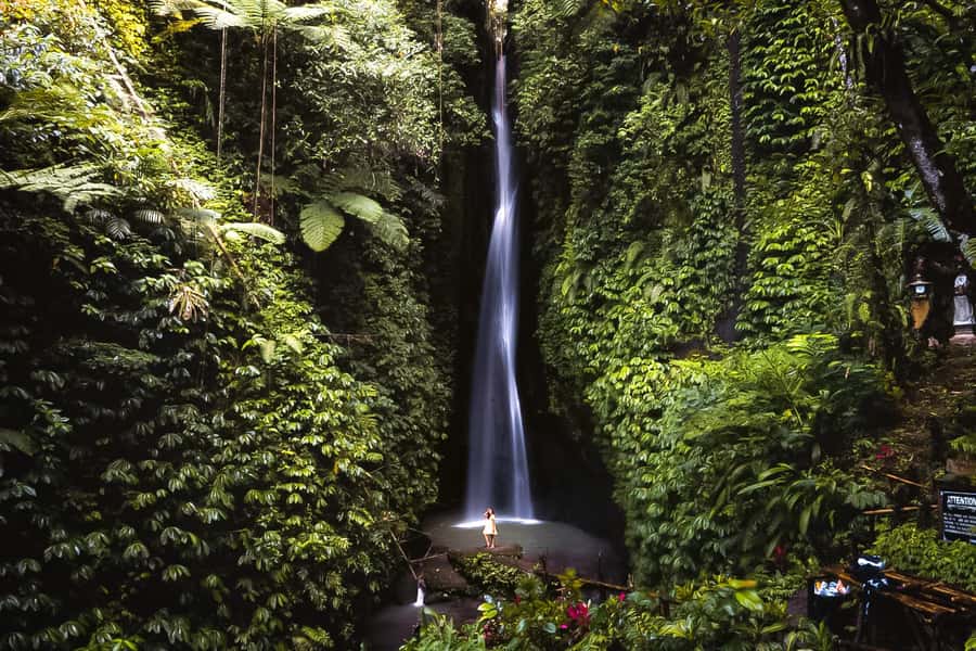 Bali: Customized Private Car Charter with Optional Guide - Key points worth knowing before you book