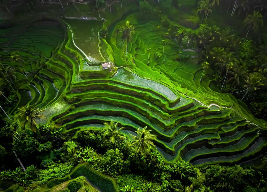 Bali: Customized Private Car Charter with Optional Guide - How to choose your 6–10 hour route without burning daylight