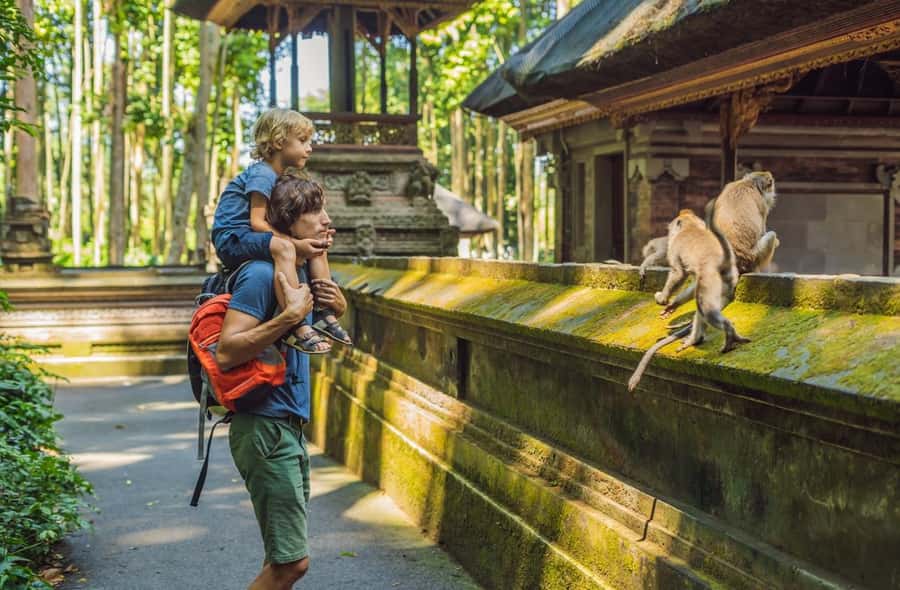 Bali: Customized Private Car Charter with Optional Guide - Optional add-ons that can upgrade the whole experience