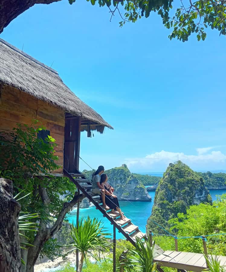 Bali/Nusa Penida: Highlights Private Car Full Day Trip - East Island Tour: Atuh Beach, Diamond Beach, Molenteng Treehouses