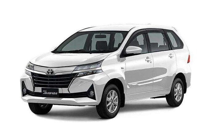 Bali Private Car Charter - Your driver’s role: not just driving, but guiding