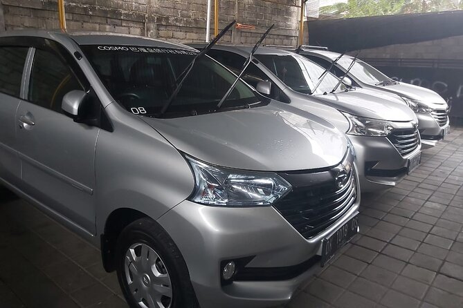 Bali Private Car Charter - What’s included vs what you’ll pay yourself