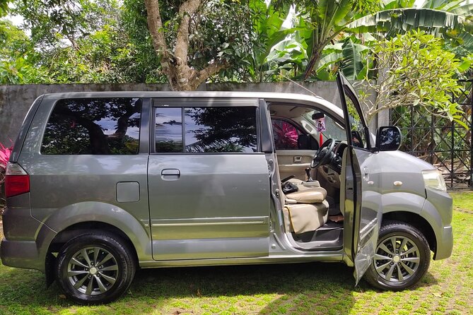 Bali Private Car Charter & Customize Tour With Driver English Speaking-Free WiFi - Who this Bali private car tour suits best