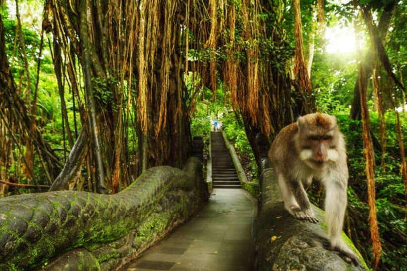 Bali: Private Car Charter with English's speaking driver - How This 10-Hour Private Car Charter Really Works