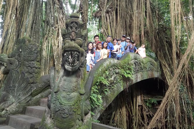 Bali Private Car Charter with English Speaking Driver Or Guide - Money Check: Is $30.20 per Person Good Value?