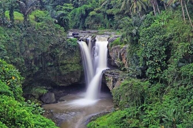 Bali Private Car Charter with English Speaking Driver Or Guide - Choosing the Right Mix of Stops (So You Don’t Rush Everything)