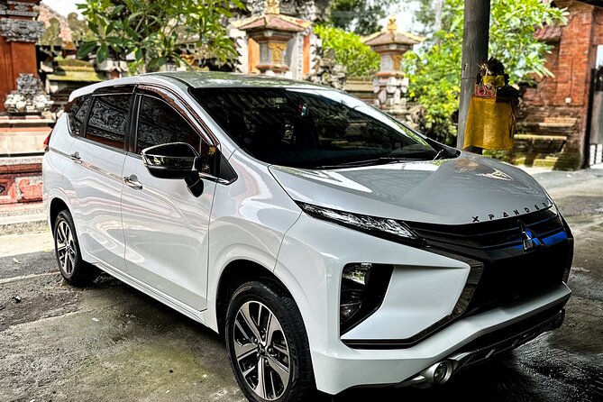 Bali Private Car Full Day Customized Tour With Drone Service - What $33 Buys on This Bali Private Day (and what costs extra)