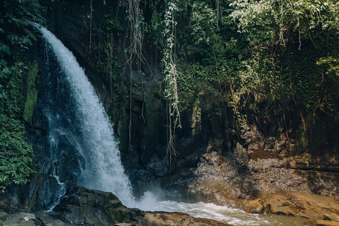 Bali Private Car Full Day Customized Tour With Drone Service - Tegenungan Waterfall: a rainforest break with strong photo potential