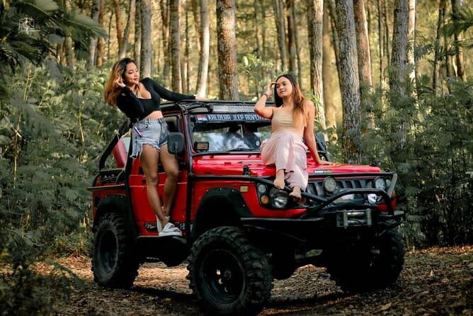 Bali Private Car Hire with Chauffeur - Driver Quality: Careful Driving, Real Help, and Good English