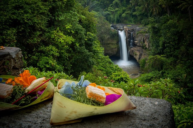 Bali Private Car Hire with Driver - Sacred Monkey Forest, Campuhan Ridge Walk, and Ubud’s First-Time Favorites