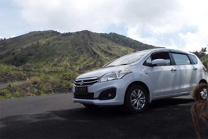 Bali Private Car or Minibus Charter With Driver - Key things to know before you book