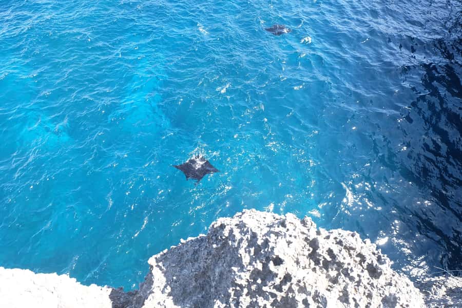 Bali: Private Car with Driver in Nusa Penida - A Private Car With Driver on Nusa Penida (Plus English Guidance)