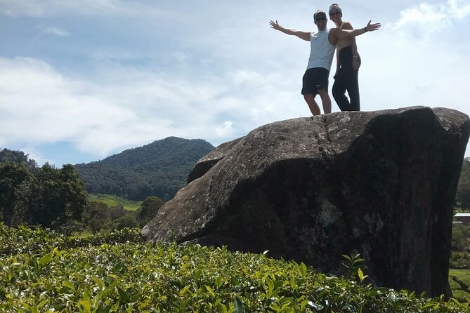 Bandung Tour All In, White Crater, Volcano Mountain, Hot Spring - Strawberry picking in Ciwidey: the hands-on stop that changes the day