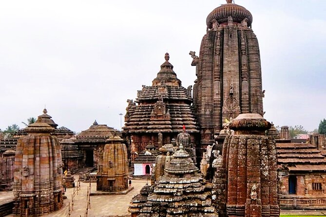 Bhubaneshwar city tour in a private car with professional guide - The Private Car Schedule: Smooth Mornings, Long Days