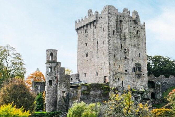 Blarney Castle and The Rock of Cashel with Private Chauffeur Tour - Blarney Castle and Gardens: what the Stone of Eloquence really means