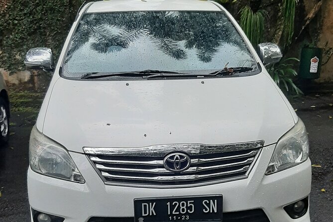 Candidasa Private Car with English Speaking Driver - Stop 1: Tegenungan Waterfall for a Big Bali Splash Moment