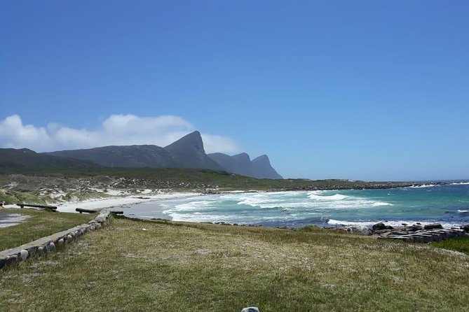 Cape Point, Boulder's Beach in Private Car Entrance Fees Included - Hout Bay: Optional Seals Island and Souvenirs