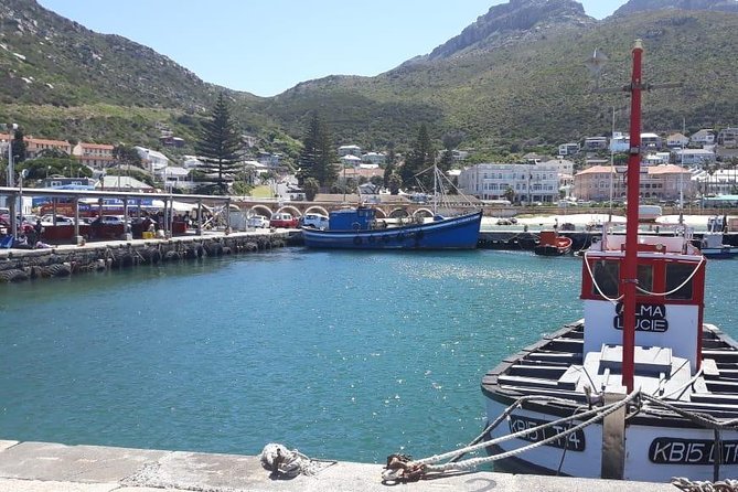 Cape Point, Boulder's Beach in Private Car Entrance Fees Included - Cape of Good Hope and Cape Point: A Drive Through Table Mountain Reserve