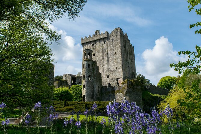 Chauffeur Blarney and Cork Private Day Tour from Dublin - A Private 11.5-Hour Escape From Dublin