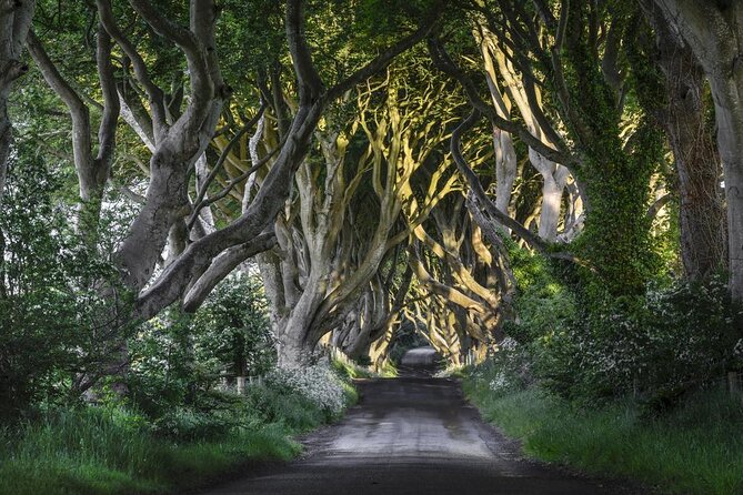 Chauffeur Giants Causeway & Belfast Private Day Tour From Dublin - Key things that make this day tour work