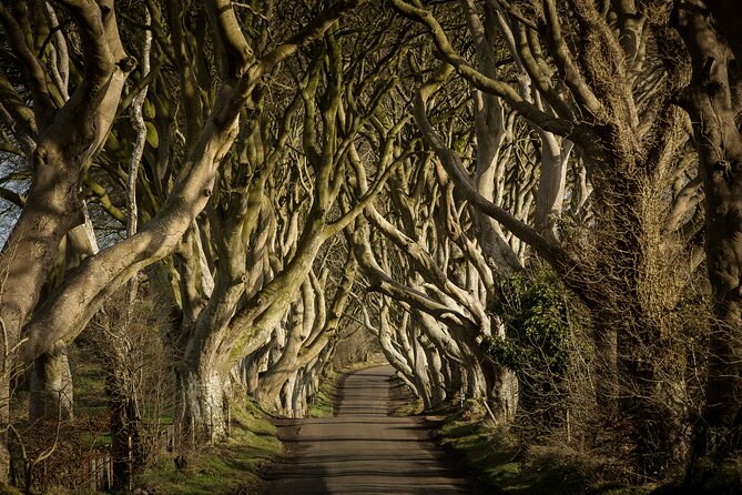 Chauffeur Giants Causeway & Belfast Private Day Tour From Dublin - Price and value: what $1,627.98 buys for up to 3 people