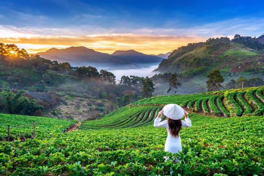 Chiang Mai: Full-Day Private Car Charter to Doi Ang Khang - Why Doi Ang Khang feels like a different Thailand