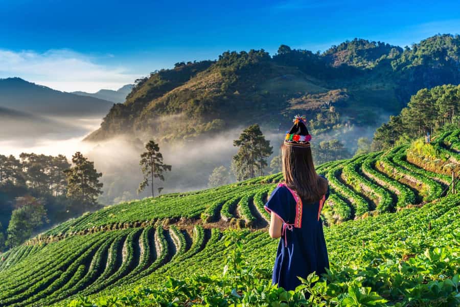 Chiang Mai: Full-Day Private Car Charter to Doi Ang Khang - Ang Khang Royal Agricultural Station and the King Rama 9 royal project