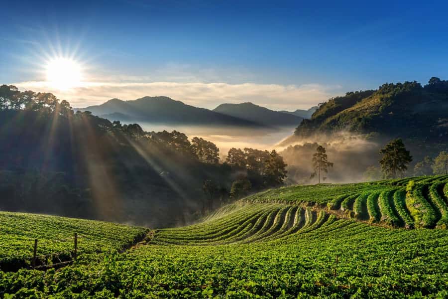 Chiang Mai: Full-Day Private Car Charter to Doi Ang Khang - Bhu Bhing Palace, villages, and hill tribe areas: cultural pacing without a guide