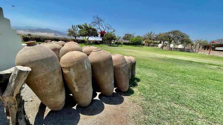 CITY TOUR ICA-HUACACHINA+BUGGIES IN PRIVATE CAR FROM PARACAS - Huacachina Oasis: How Sand Cars and Sandboarding Fit Together