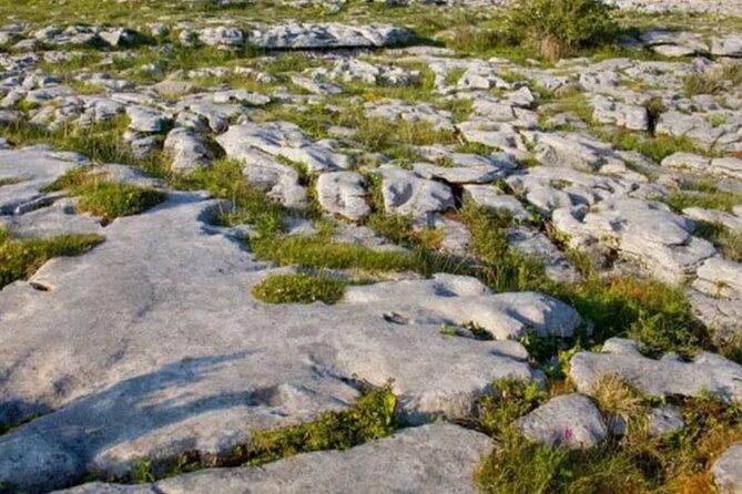 Cliffs of Moher, Burren and Galway 2 Days Private Chauffeur Tour - Getting from Dublin: private pickup, real time, and how to stay sane