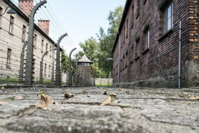 Combined: Auschwitz Birkenau and Salt Mine private chauffeur from Krakow - Auschwitz-Birkenau Memorial: guided, ticketed, and headset-supported