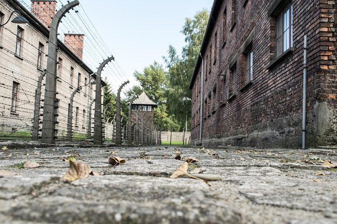 Combined: Auschwitz Birkenau and Salt Mine private chauffeur from Krakow - Auschwitz-Birkenau Memorial: guided, ticketed, and headset-supported