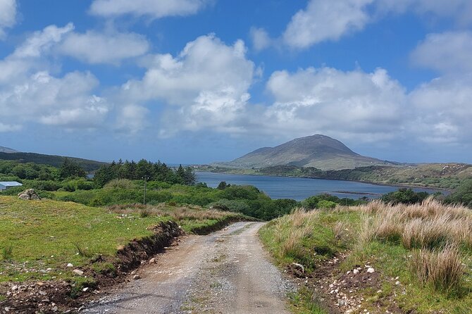 Connemara Sheep Farm experience & Kylemore Abbey by Lux Limousine - Price and Value: What the Group Fee Really Covers