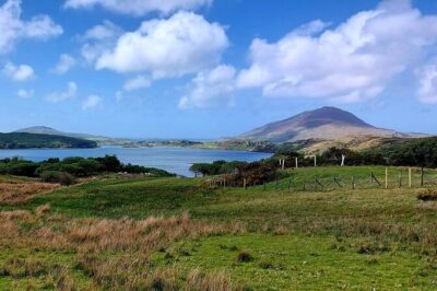 Connemara Sheep Farm experience & Kylemore Abbey by Lux Limousine - Killary Sheep Farm: Sheepdogs, Daily Work, and the Pace of Rural Life