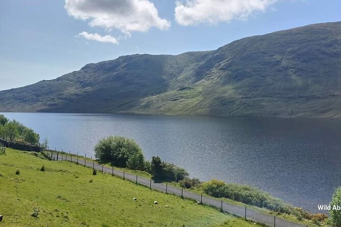 Connemara Sheep Farm experience & Kylemore Abbey by Lux Limousine - Who This Tour Fits Best (and Who Might Want a Different Pace)