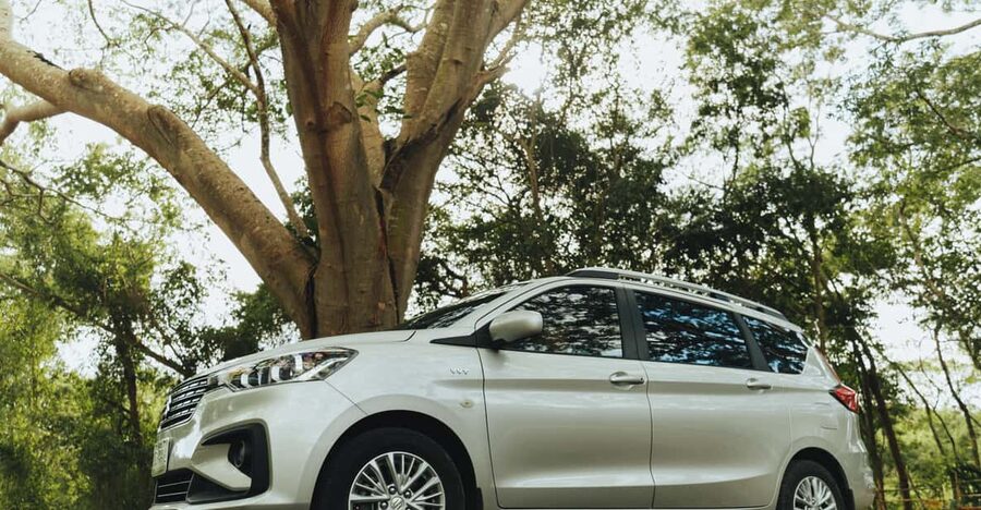 Cozumel: Private Car, Driver & Certified Tour Guide - Cruise-day Cozumel: why private feels calmer