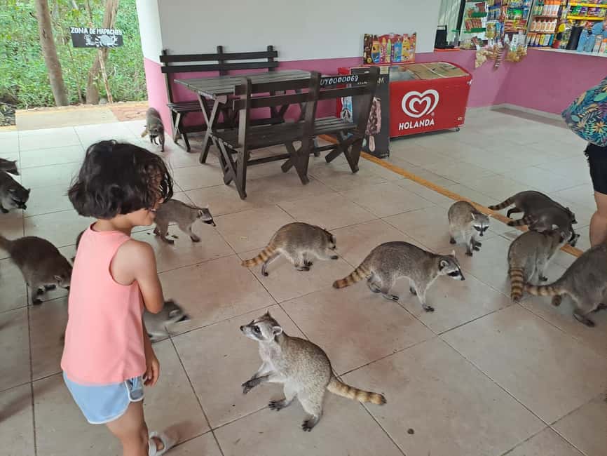 Cozumel: Private Car, Driver & Certified Tour Guide - What to bring (and what gets you turned away)