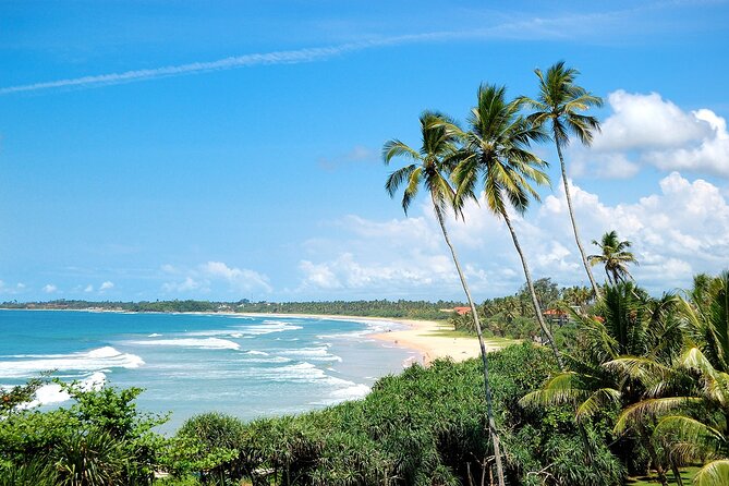 Customized 11-Day Flexible Sri Lanka Tour with Private Car - Day 2: Negombo fish market, Dutch Canal, and Dambulla Cave Temple