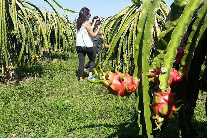 Da Lat Exploring Tour On Private Car - Chicken Village and the K’hor daily-life walk
