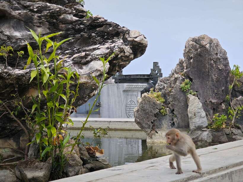 Da Nang : Private Car to Hue with Multi Sightseeing Stops - Lap An Lagoon: Lakeside Coffee and the Hue-Friendly Pace
