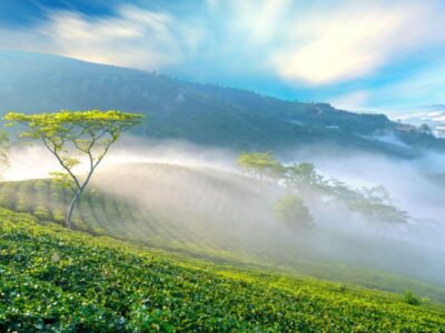 Dalat: Best of the Countryside Tour in a Private Car - Pickup, Timing, and How Fast the Day Moves