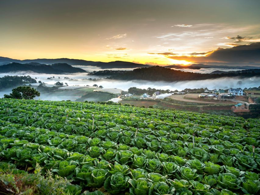 Dalat: Best of the Countryside Tour in a Private Car - Pongour Falls and Paradise Lake: Water Power With Breathing Room