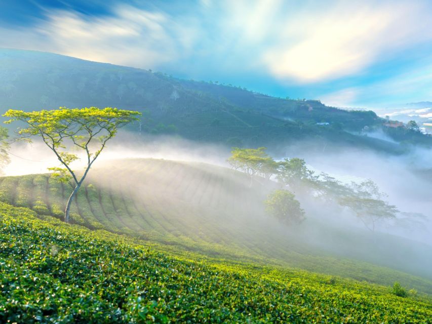 Dalat: Best of the Countryside Tour in a Private Car - Pickup, Timing, and How Fast the Day Moves