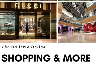 Dallas Best of Shopping Malls in the Luxury Private Limousine - Galleria Dallas: Big Mall Energy With Glass-Vault Style