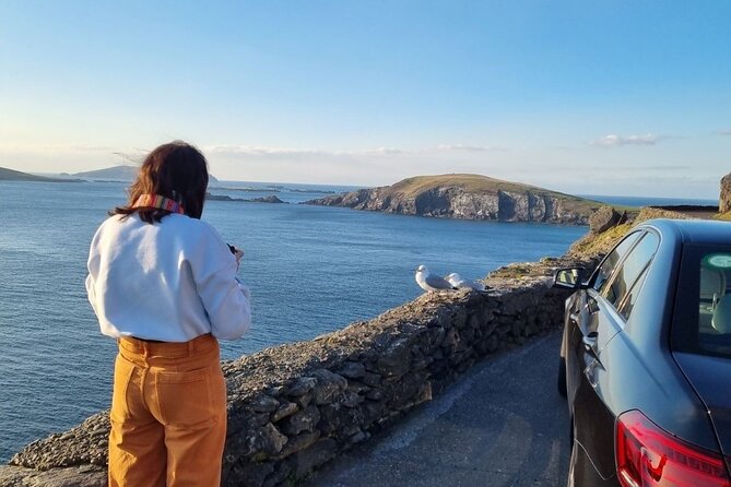 Dingle: Hour Slea Head Drive Tour 4hr - Personal Chauffeur Guide - Stop-by-stop: Eask Tower and Ventry Beach (harbor views first)