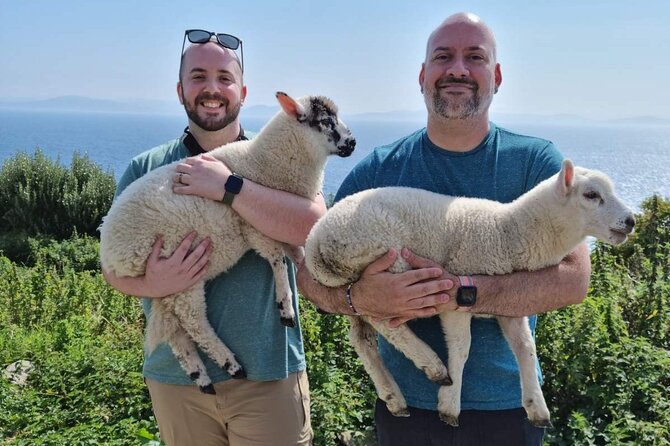 Dingle: Hour Slea Head Drive Tour 4hr - Personal Chauffeur Guide - Coumeenoole Beach and Dun Chaoin Pier: coastline variety in 40 minutes