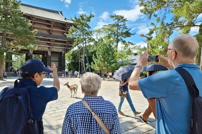 Discover Ancient Nara: Private Car Tour from Kyoto or Osaka - Naramachi Nigiwai-no-le: traditional townhouses and mochi moments