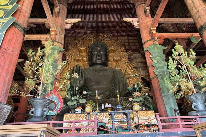 Discover Ancient Nara: Private Car Tour from Kyoto or Osaka - Optional add-ons when time allows: Nara Hotel tea, matcha, sake, and seasonal fun