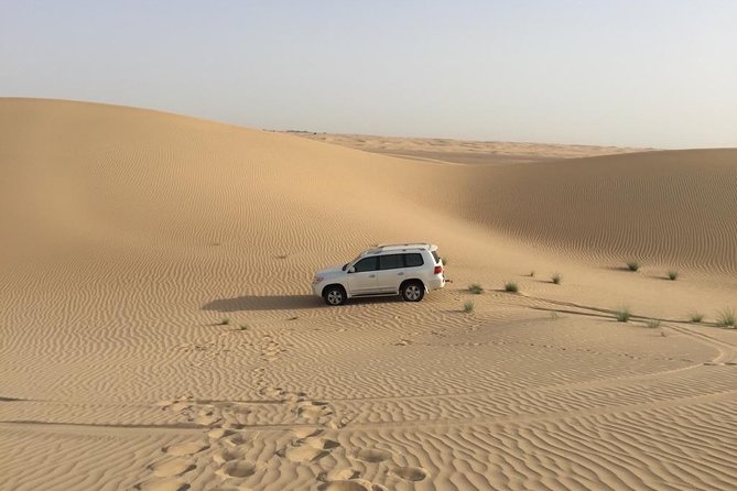Dubai Kids Friendly Morning Safari - Private Car - What’s Included (and What Isn’t) So You Can Budget Cleanly