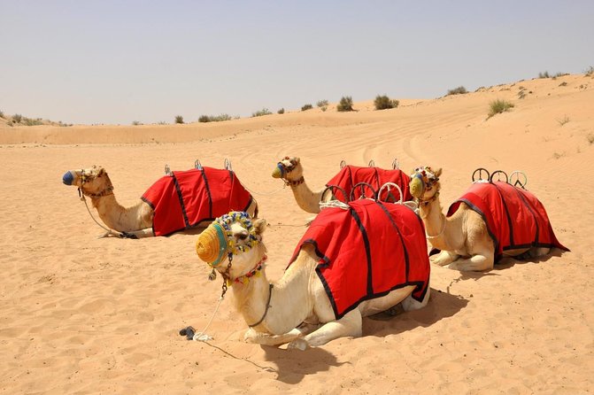 Dubai: Morning Desert Safari with Private car - Why a Morning Desert Safari Feels Better Than the Usual Dubai Rush